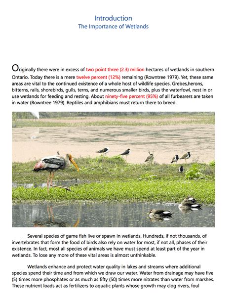 Image result for Programmatically Create PDF