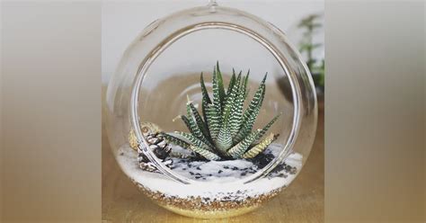 Greenopia | LBB