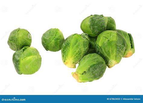 Brussels sprouts (Cabbage) stock photo. Image of pile - 67863432