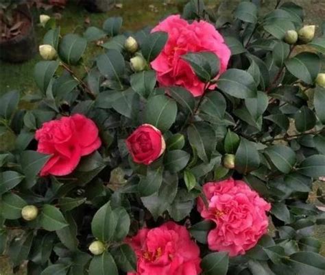 Image result for HTML Colour Code Finder