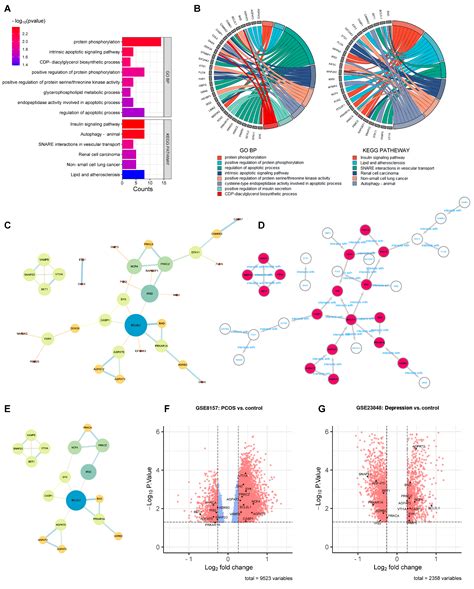 Identification of Key Genes and Imbalanced SNAREs Assembly in the ...