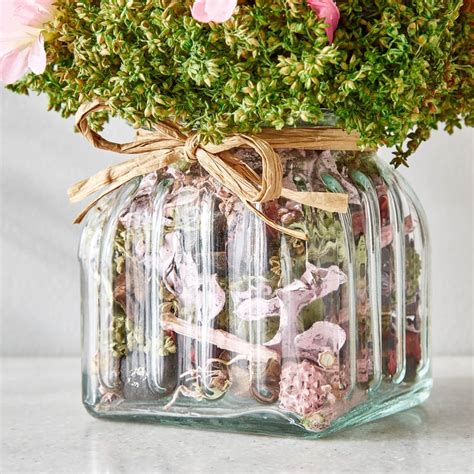 Buy Gloria Floret Natural Dried Flowers in Glass Jar from Home Centre ...