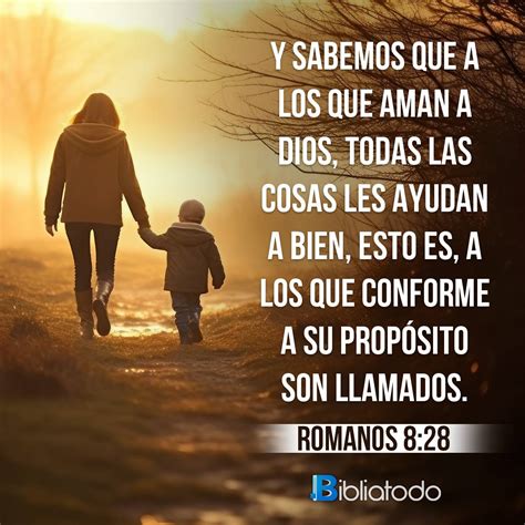 Romanos 8 28