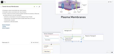 Plasma Membranes MindMap (click image) : r/traversemed