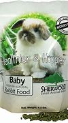 Image result for baby rabbit food
