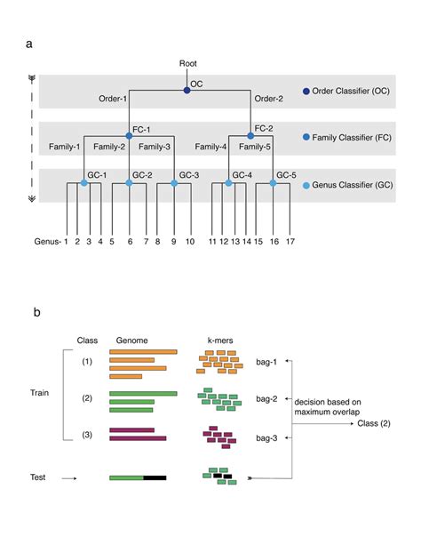 Hierarchical Classification 的图像结果