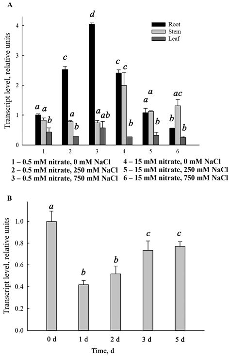 Functional and Molecular Characterization of Plant Nitrate Transporters ...