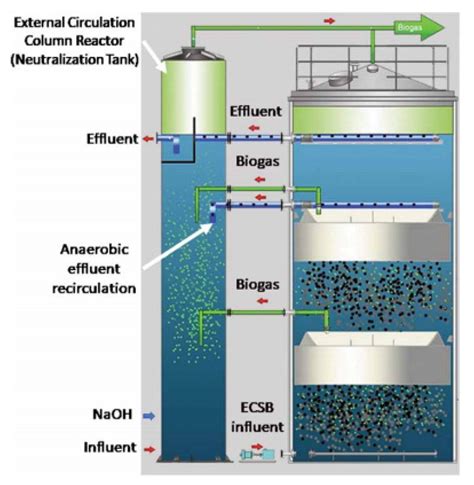 A Review of the State of the Art of Biomethane Production: Recent ...