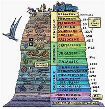 Mesozoic Era 的图像结果