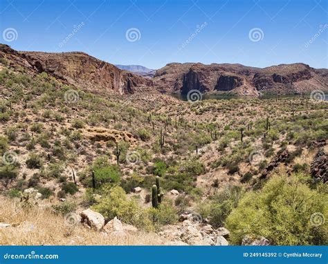 Canyon Lake from Canyon Lake Vista on Hwy 88 Stock Photo - Image of ...