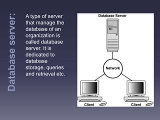 Database Server Types 的图像结果