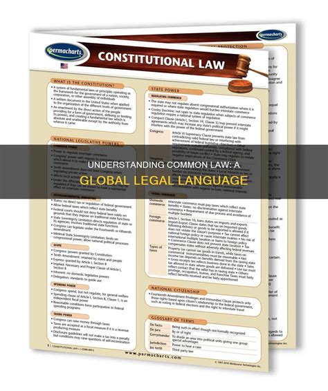 Understanding Common Law: A Global Legal Language | LawShun
