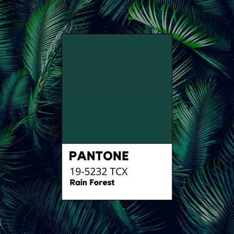 Come abbinare il Verde Bosco / Verde Foresta - My Color Adventures