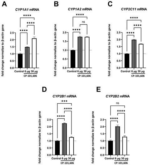 Molecular Mechanisms of the Regulation of Liver Cytochrome P450 by Brain NMDA Receptors and via ...