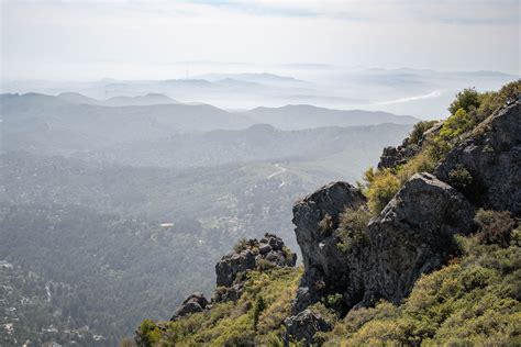 Mount Tam - East Peak | Hike & Shine