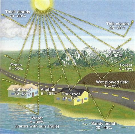 AMBIL SEKARANG