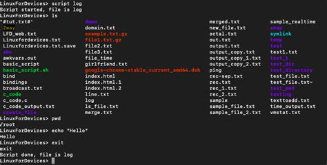 Image result for Script Command in Linux