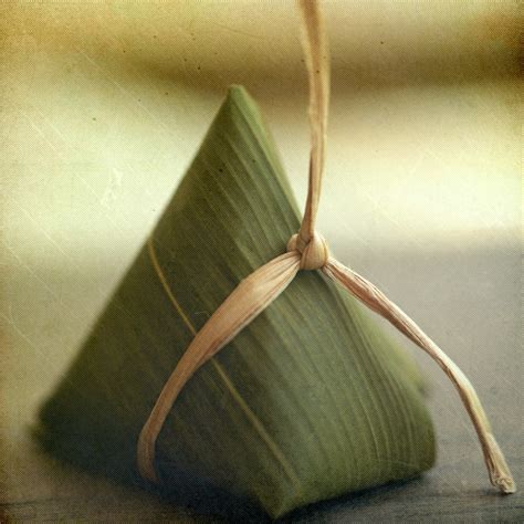 zongzi - ImmerQi