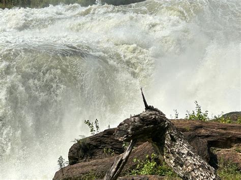MANGO SAFARIS UG - All You Need to Know BEFORE You Go 2026 (with Photos ...