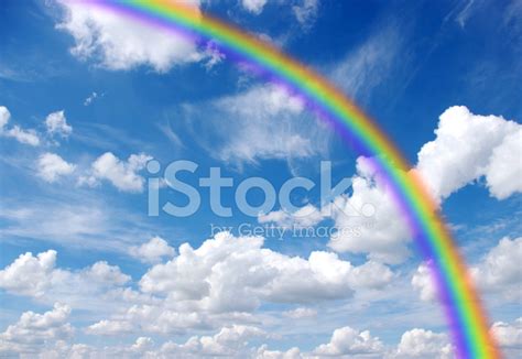Image result for Rainbow Spring Sticker