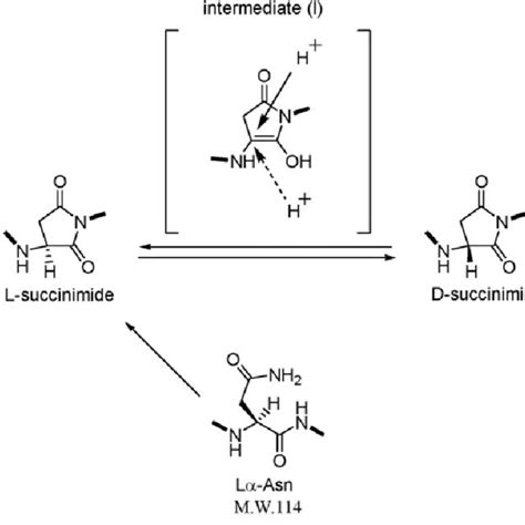 Image result for Random Science Computer Image