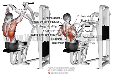 Back Exercise Machine 的图像结果