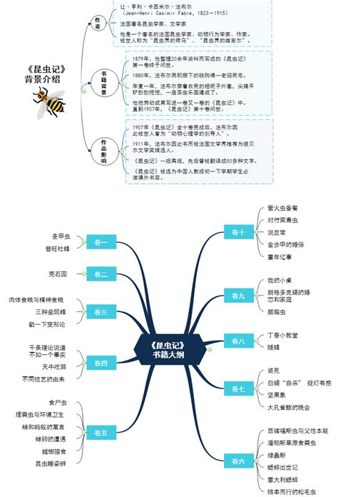 昆虫记-思维导图模版-树图网