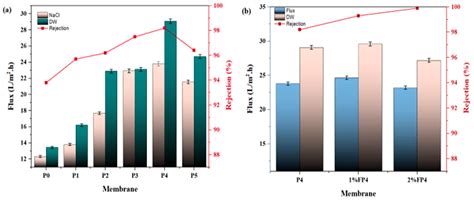 Influence of Silane Treatment on CNM/PAC/PVDF Properties and ...