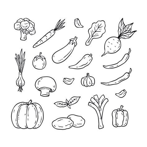 Set of hand drawn vegetable outline icons. healthy food doodles 14470640 Vector Art at Vecteezy
