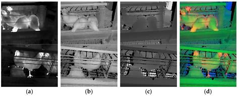 Dead Laying Hens Detection Using TIR-NIR-Depth Images and Deep Learning on a Commercial Farm