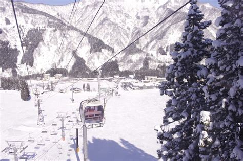 Ski & Snowboard Lessons with Native-Language Interpreting Guides ...