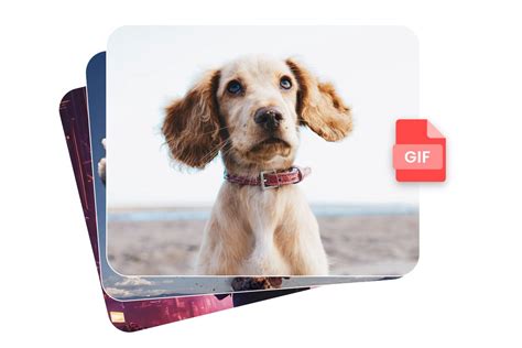 WebP File to GIF 的图像结果