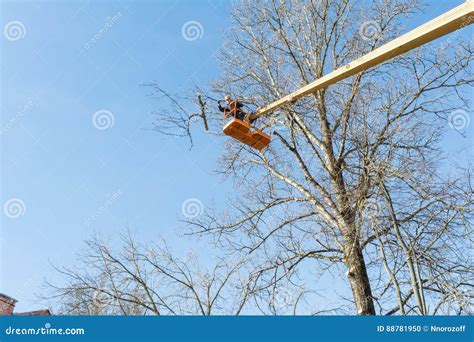 Image result for Chainsaw Tree Fall