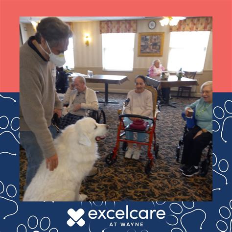#excelcarewayne #heretoexcel | ExcelCare at Wayne