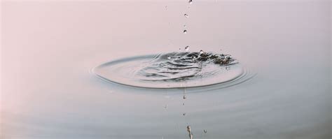 Download wallpaper 2560x1080 splashes, splash, macro, drops, water dual ...