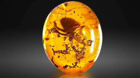 Image result for Houdini Beginner Tutorials