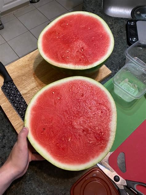 Benih Tembikai Tanpa Biji 5pcs/Seedless Watermelon/无籽西瓜 | Lazada