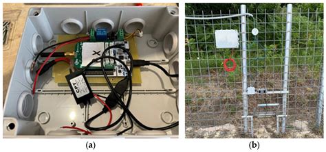 Wild Boars’ Selective Capture with IoT and Electronic Devices Solutions ...
