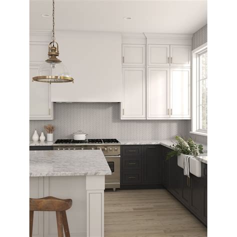 Shop Project Source Oak Brook Unfinished Traditional Kitchen Cabinet ...