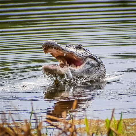 Unit rate and slope 8th Grade Flashcard | Wayground
