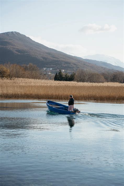 Nature Slideshow 的图像结果