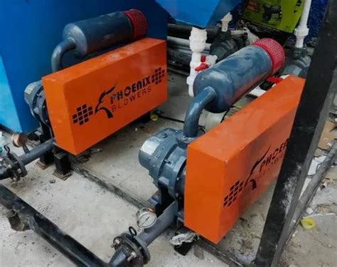 Twin Lobe Blower Manufacturer Delhi NCR - Phoenix Roots Type Twin Tri ...