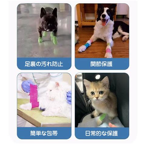 String Methods in JavaScript 的图像结果