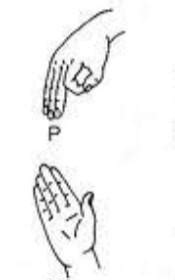 7. Draw any four letters in English in the form of sign language ...