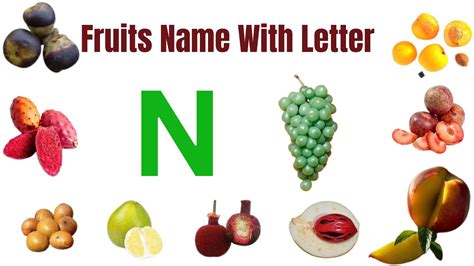 N Letter Fruits Name Fruits Name Start With N Fruits Start With Letter ...