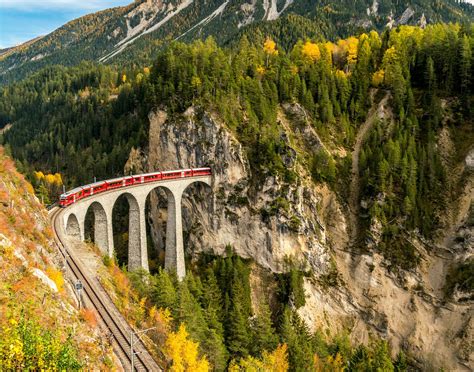 HOUSE OF GODS - SACRED GARDEN, Glasgow - 2025 Reviews