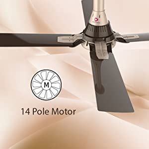 Buy OTTOMATE Ceiling Fan | 4 Blade | 1250 mm | High Speed | Champagne ...