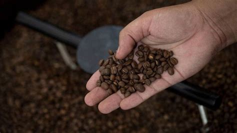 International Coffee Day: How the popular caffeinated drink impacts ...