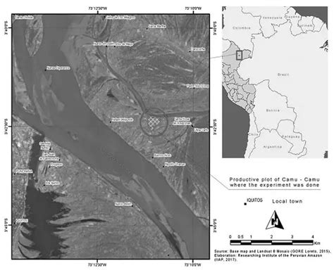 Methods of pruning and thinning in a flooded camu-camu plot