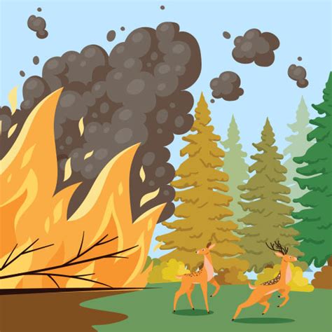 Climate change and forest fires: what’s happening worldwide?